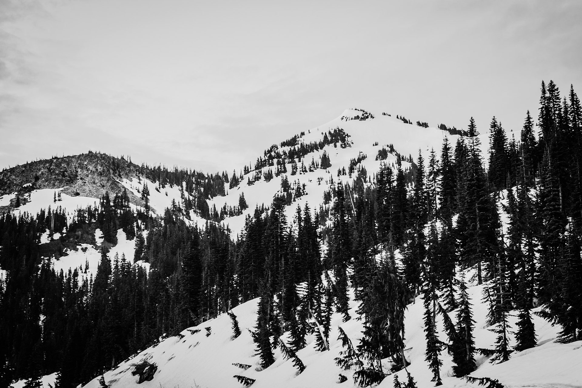 Cold Majesty