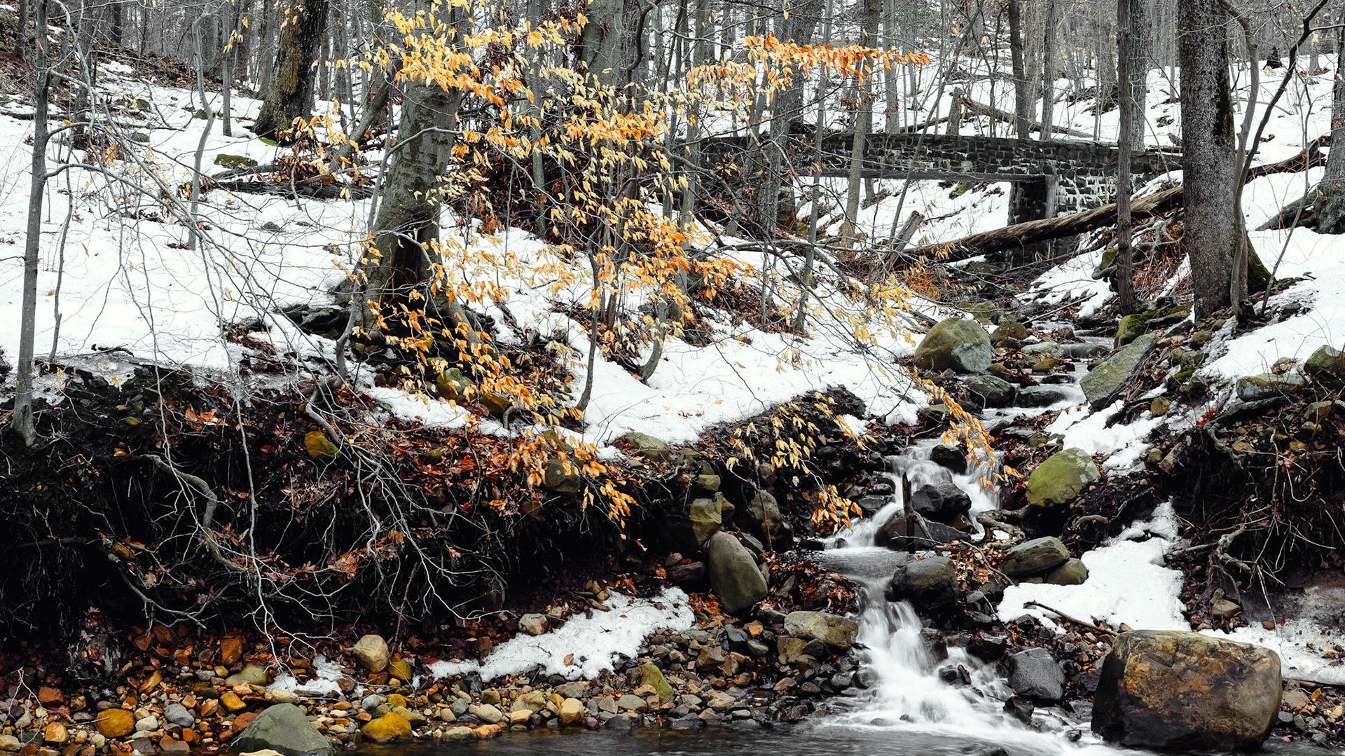 Winter Last