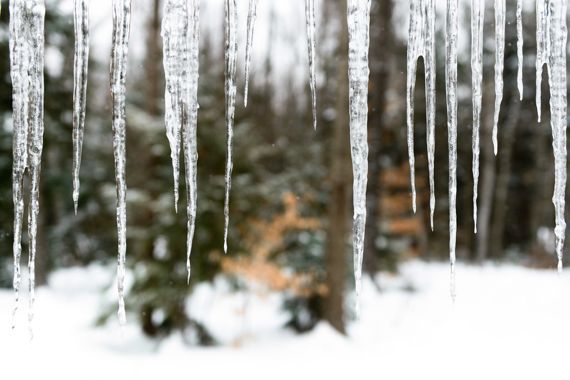 Ice