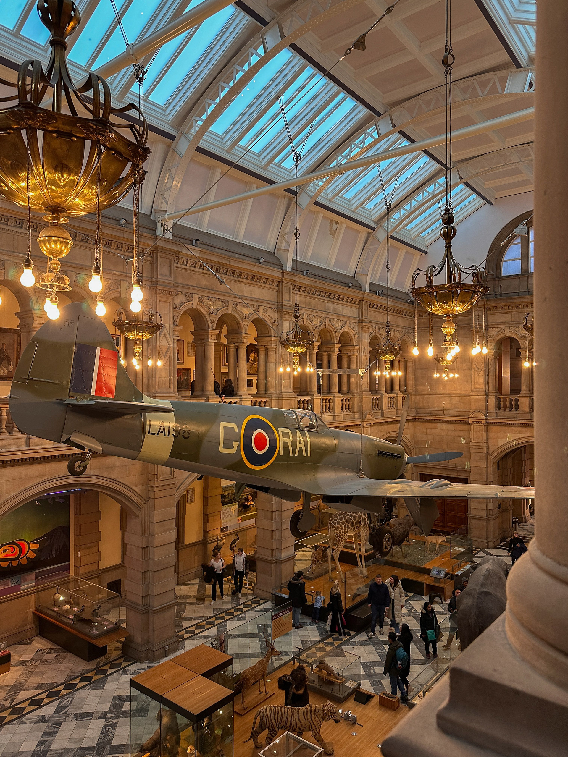 Kelvingrove Museum