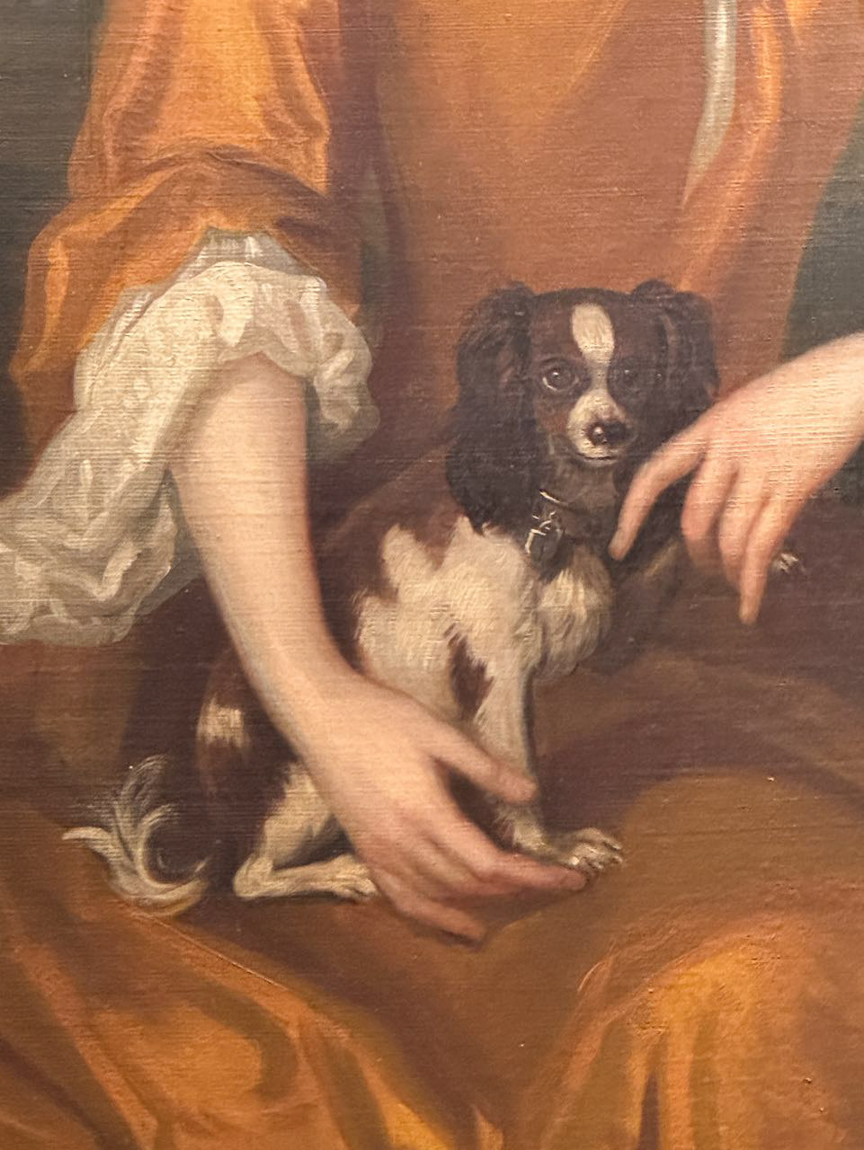 Doggie
