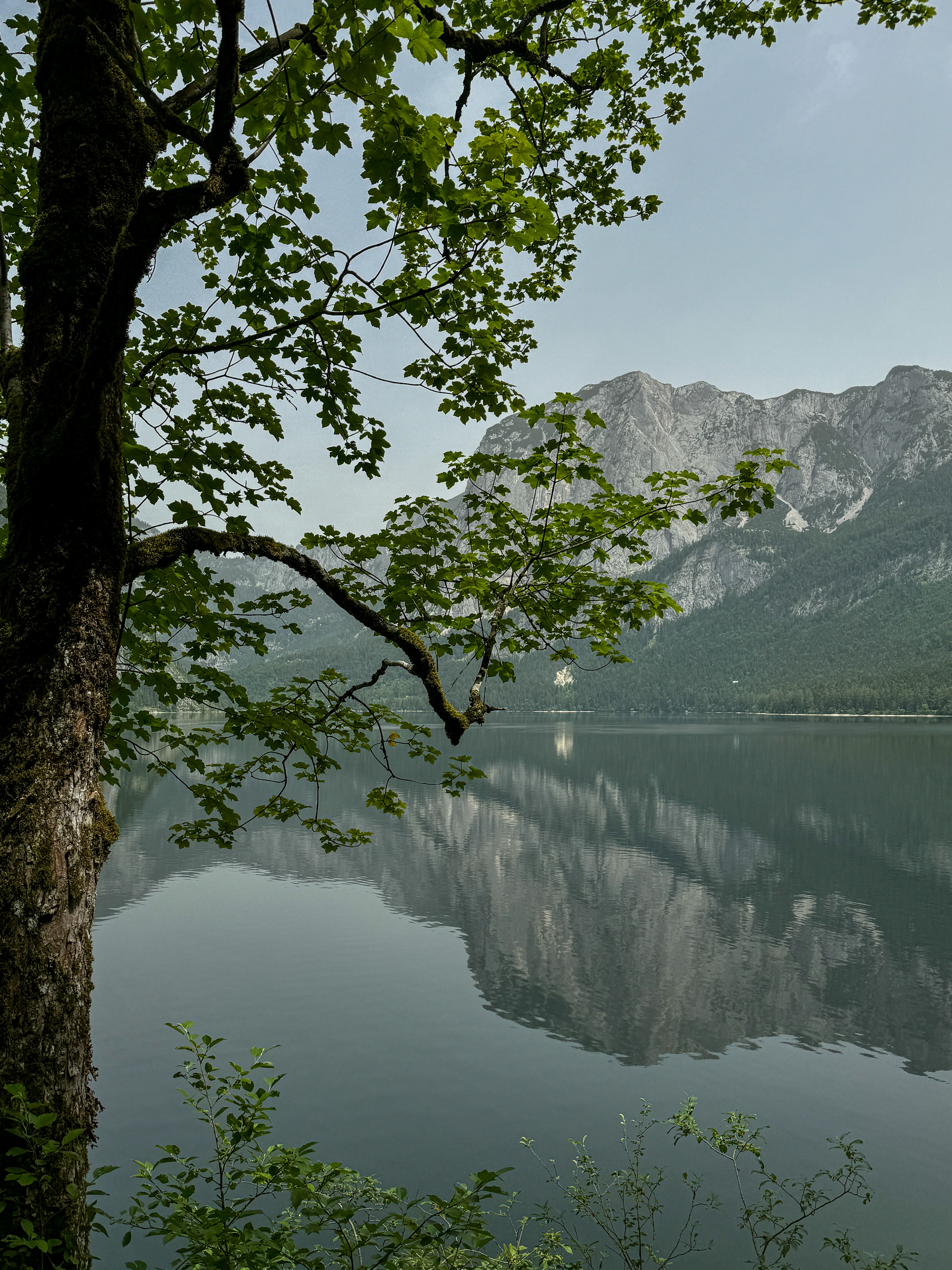 Aussee