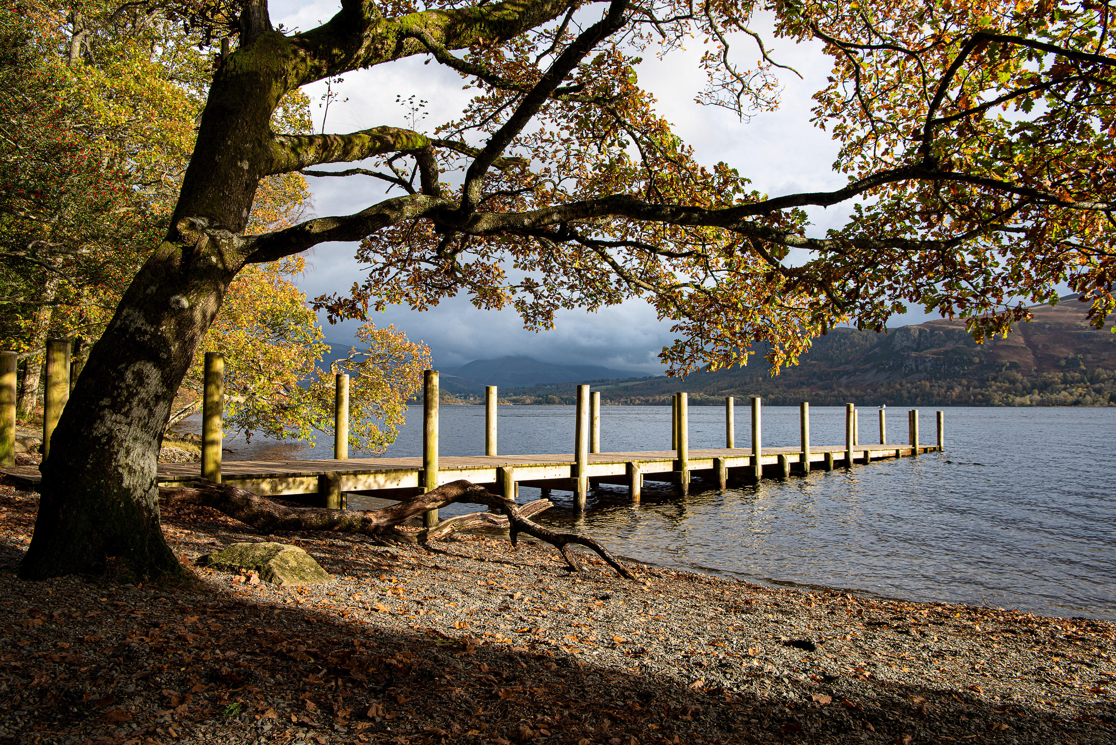 High Brandelhowe, Lakes