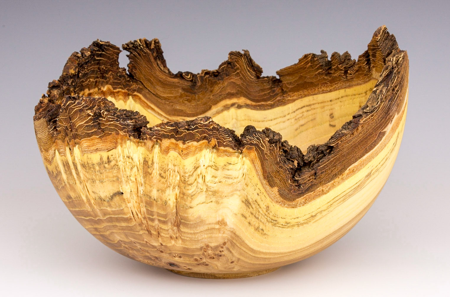 Elm Natural Edge Bowl - Diameter: 9 7/8 inches, Height: 6 1/4 inches (C3)