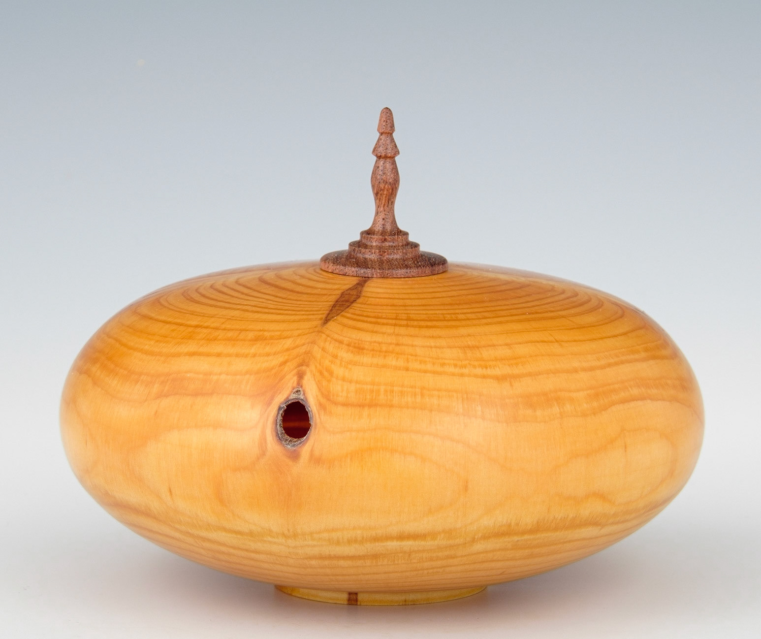 Monkey Puzzle Hollow Form - Diameter: 6 3/8 inches, Height: 4 7/8 inches (C153)