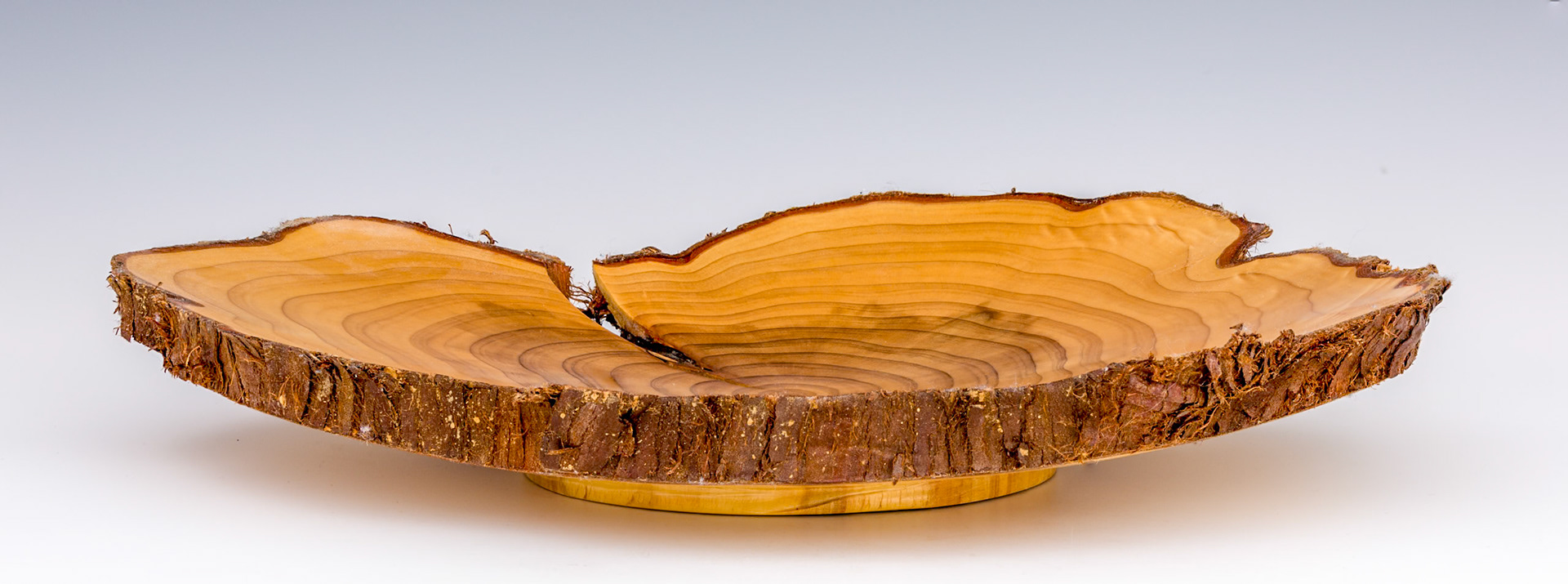 Cryptomeria Japonica Natural Edge Bowl - Diameter: 12 inches, Height: 1 7/8 inches   (F39)