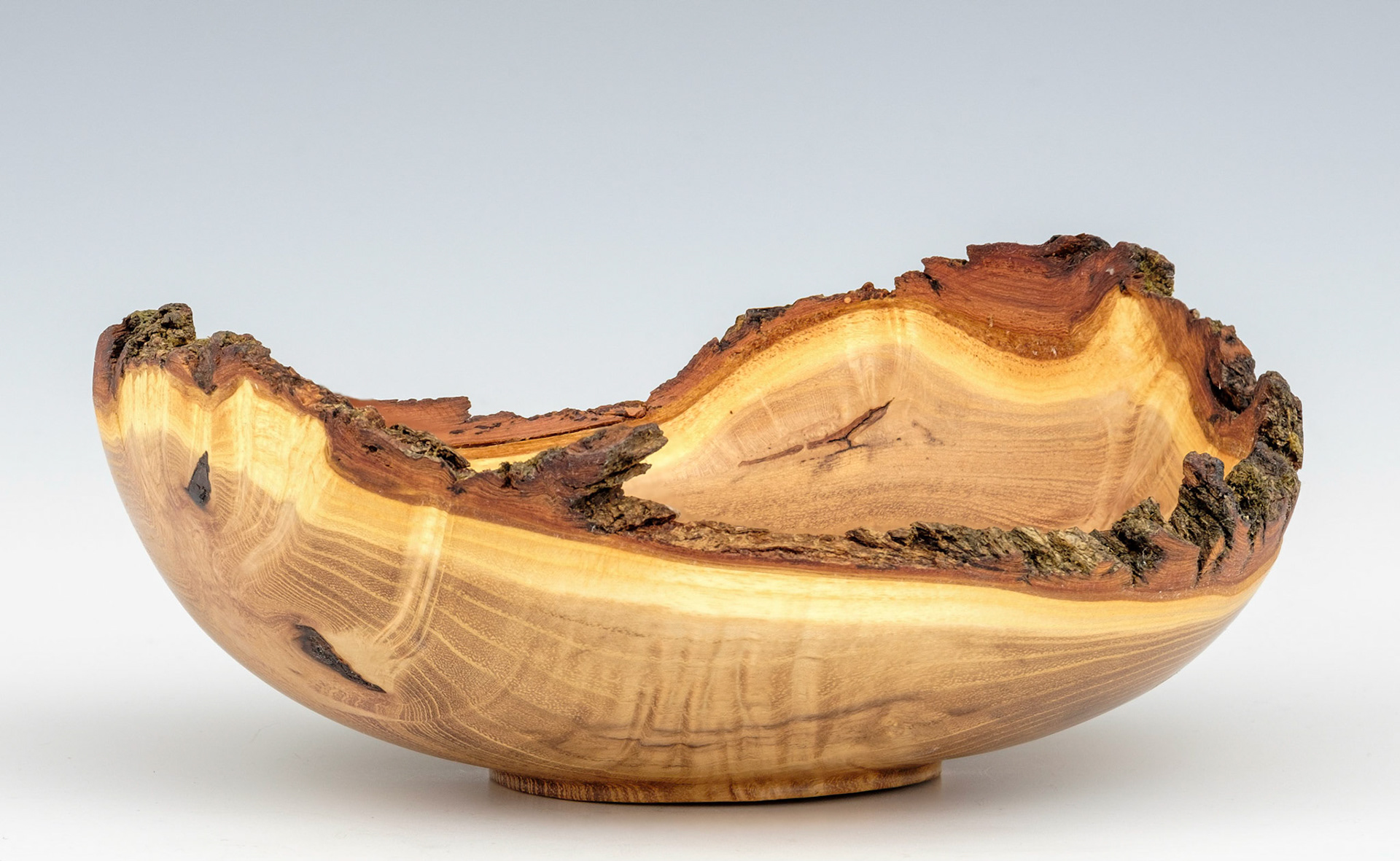 Black Locust Natural Edge Bowl - Diameter: 7 3/4 inches, Height: 3 1/8 inches (D104)