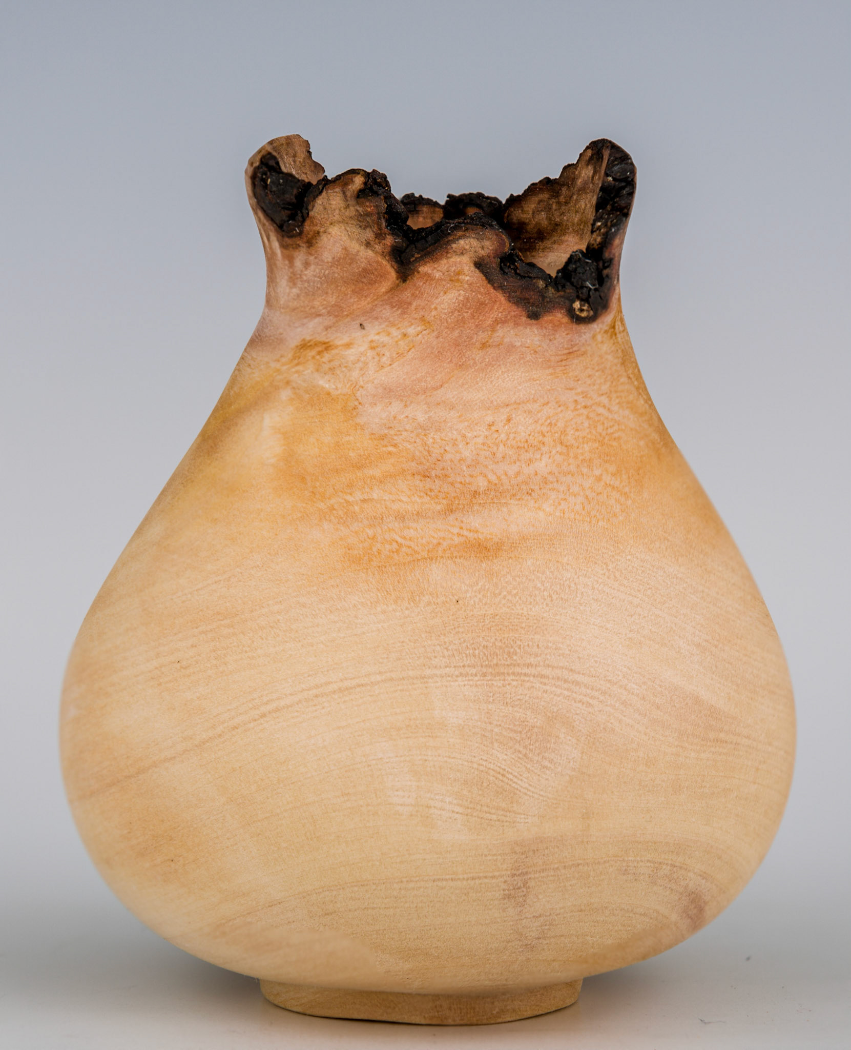 Madrone Natural Edge Hollow Form - Diameter: 2 1/2 inches, Height: 3 inches (C141)
