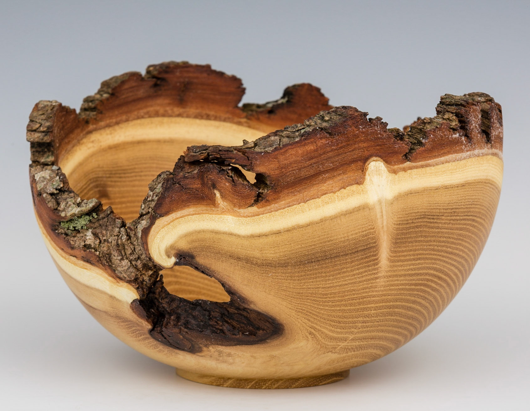 Black Locust Natural Edge Bowl - Diameter: 7 1/4 inches, Height: 4 1/2 inches (K7)