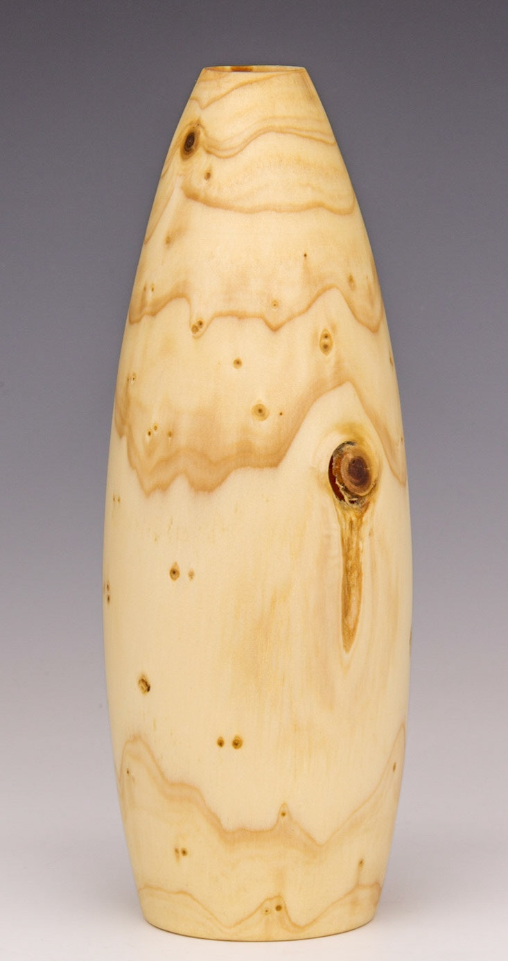 Cryptomeria Japonica Hollow Form - Diameter: 2 7/8 inches, Height: 8 inches (F8)