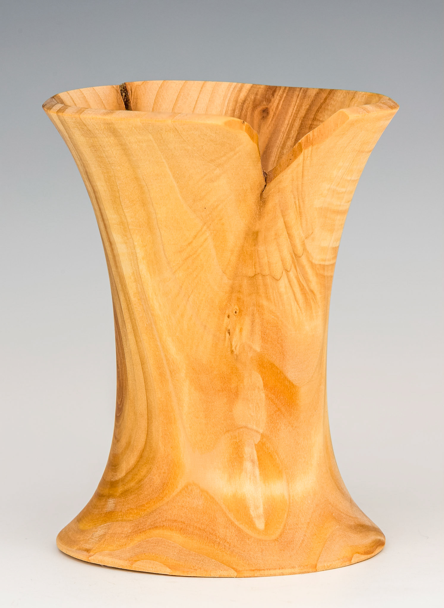 Cryptomeria Japonica Vessel - Diameter: 3 1/2 inches, Height: 4 5/8 inches (F37)
