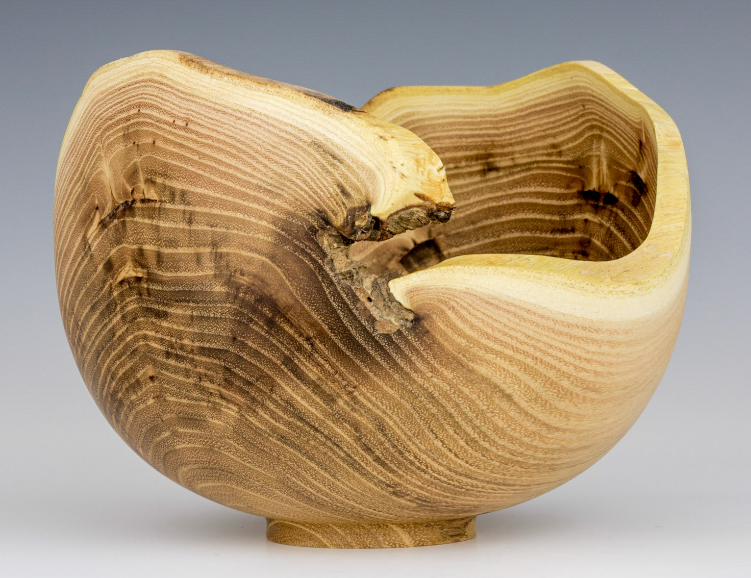 Black Locust Natural Edge Bowl - Diameter: 5 5/8 inches, Height: 4 1/2 inches (A7)