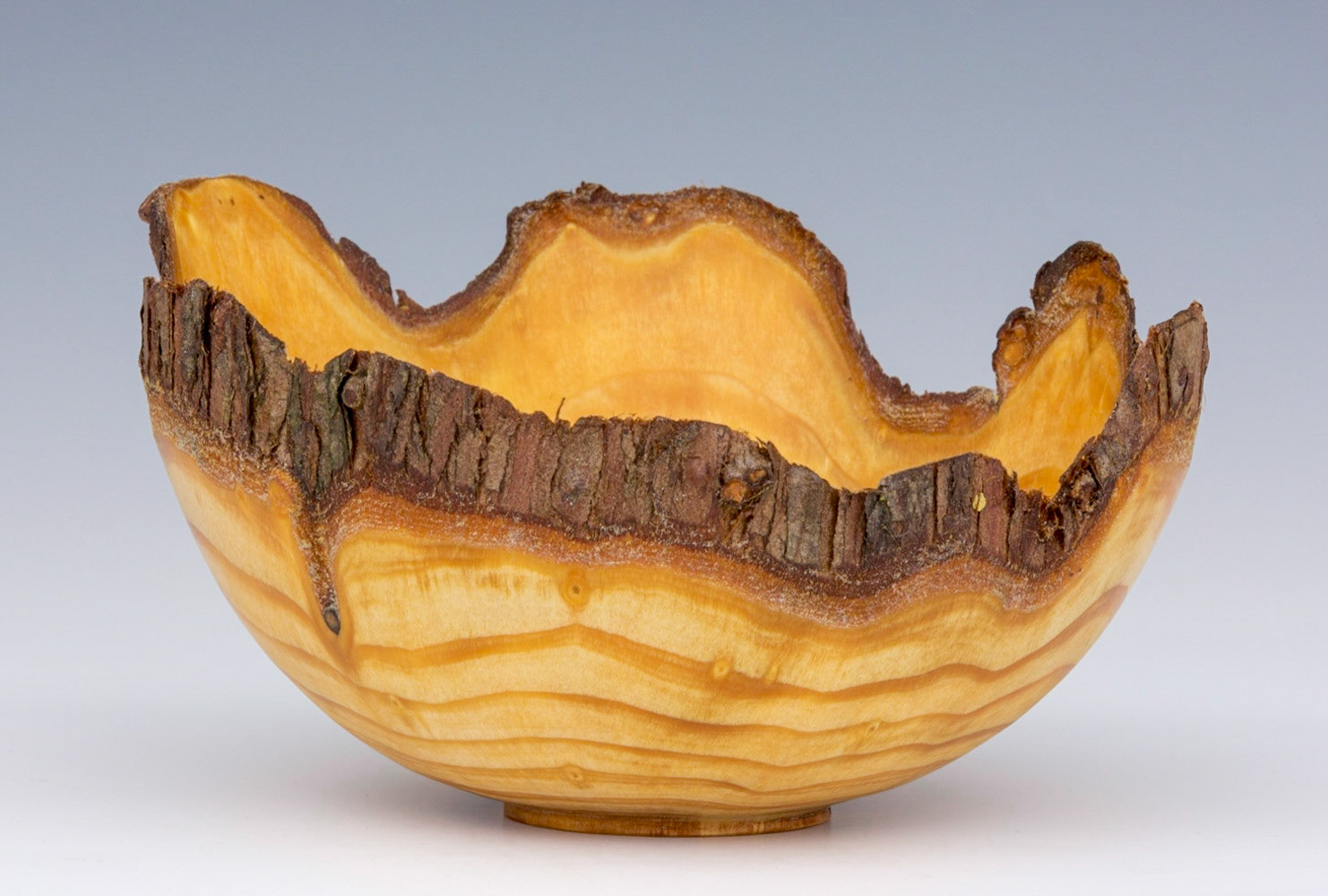 Cryptomeria Japonica Natural Edge Bowl - Diameter: 5 1/2 inches, Height: 3 inches (F4)