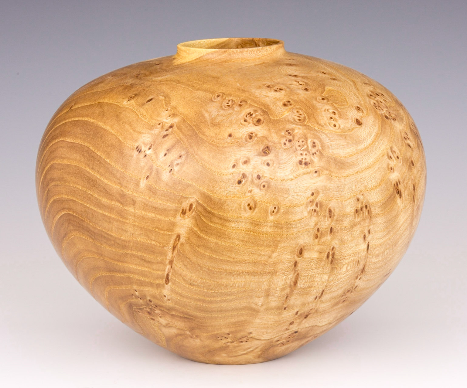 Elm Hollow Form - Diameter: 9 inches, Height: 7 inches (C52)