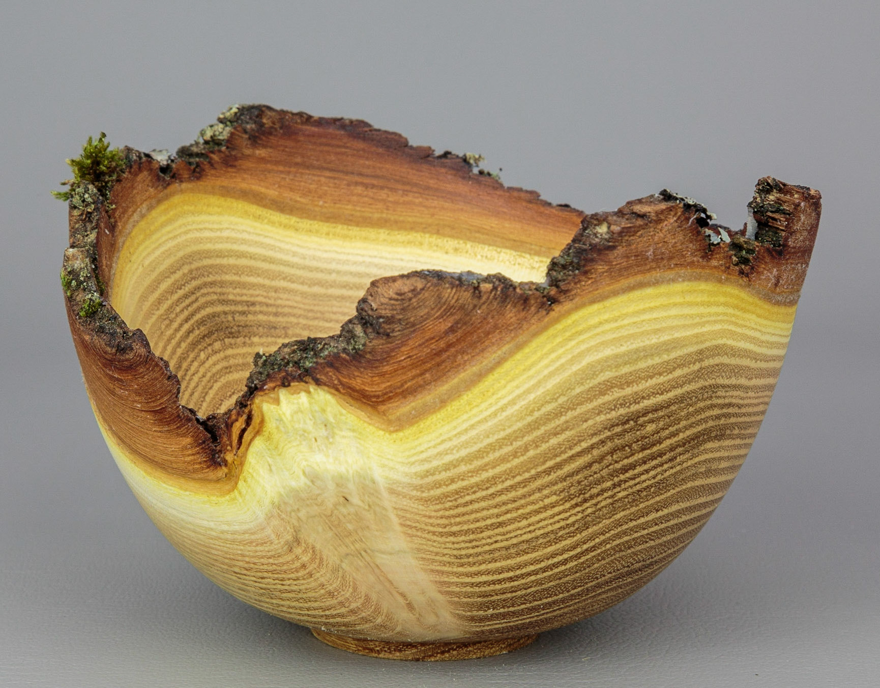 Black Locust Natural Edge Bowl - Diameter: 4 5/8 inches, Height: 3 inches