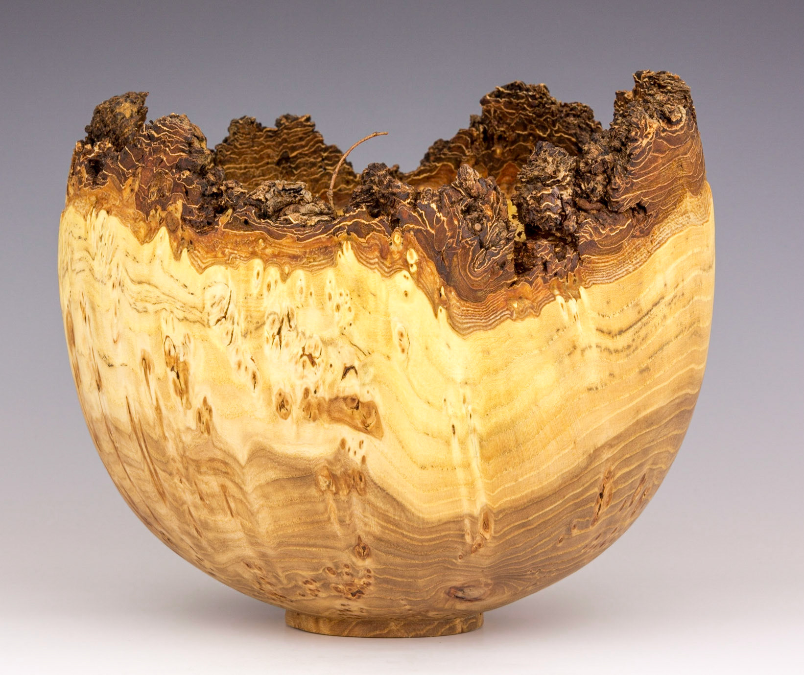 Elm Natural Edge Bowl - Diameter: 8 1/4 inches, Height: 7 1/4 inches (C5)