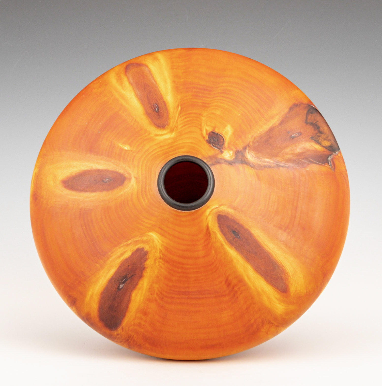 Norfolk Island Pine Hollow Form - Diameter: 10 Inches, Height: 6 1/8 inches (D57)