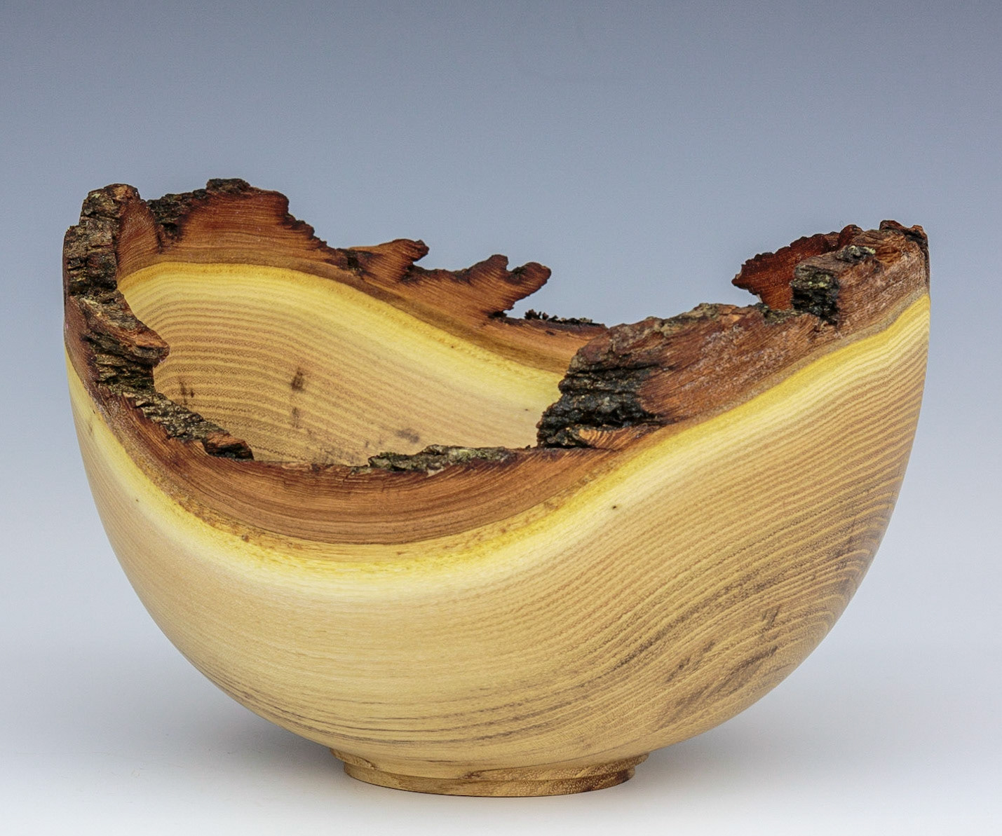 Black Locust Natural Edge Bowl