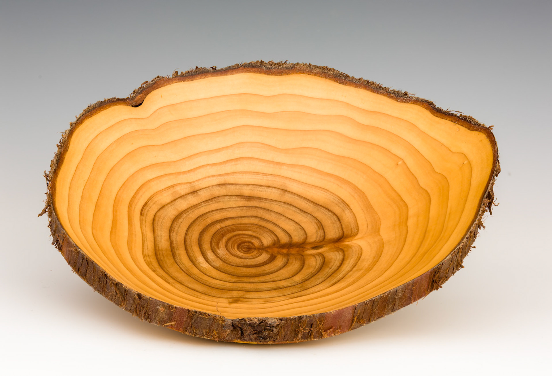 Cryptomeria Japonica Natural Edge Bowl - Diameter: 9 1/8 inches, Height: 2 3/8 inches   (F38)