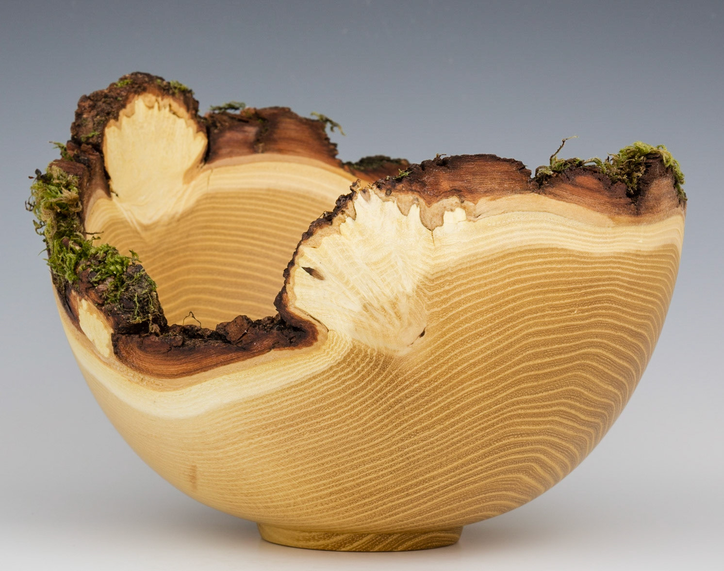 Black Locust Natural Edge Bowl - Diameter: 9 1/4 inches, Height: 6 5/8 inches (K1)