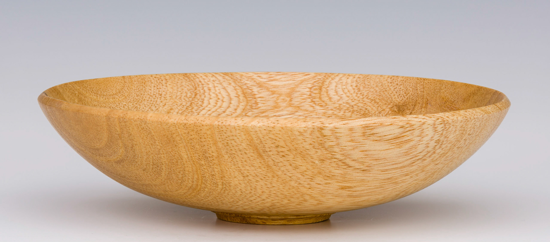 Ficus Bowl - Diameter: 6 1/4 inches, Height: 1 5/8 inches (C81)