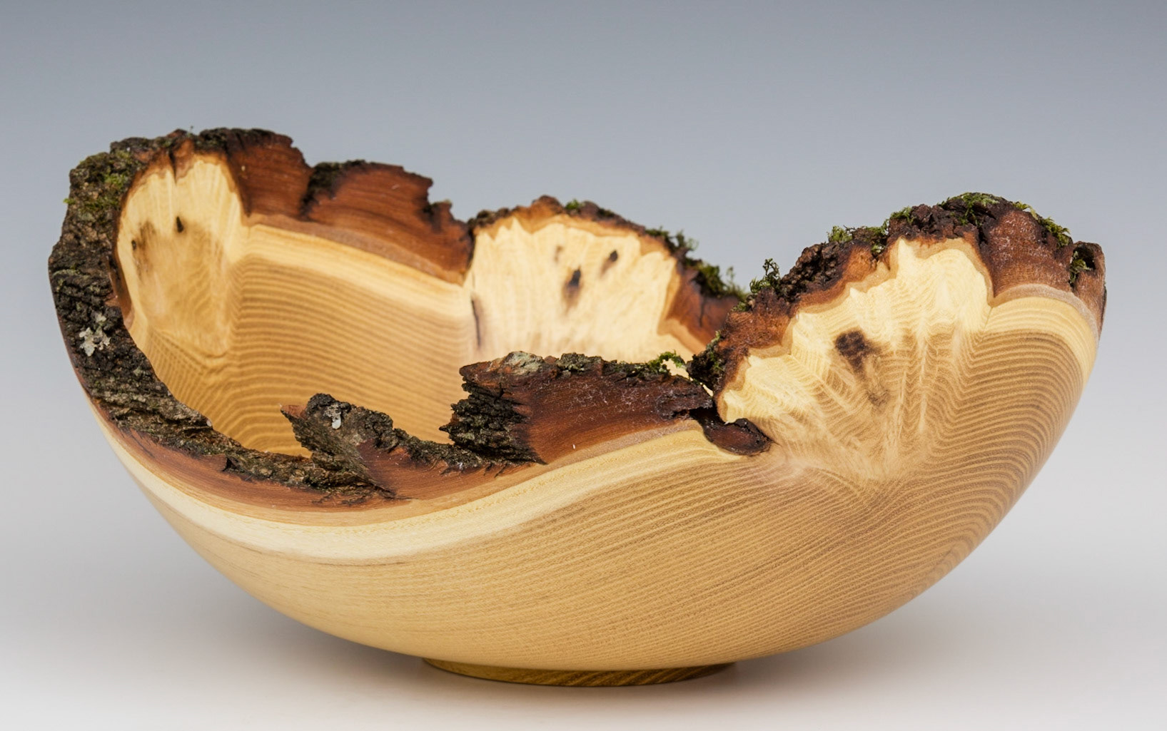 Black Locust Natural Edge Bowl - Diameter: 10 1/2 inches, Height: 5 inches (K6)