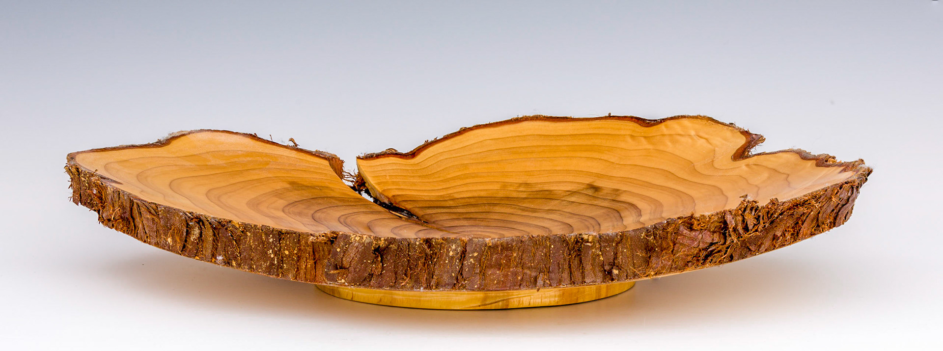 Cryptomeria Japonica Natural Edge Bowl - Diameter: 12 inches, Height: 1 7/8 inches (F39)
