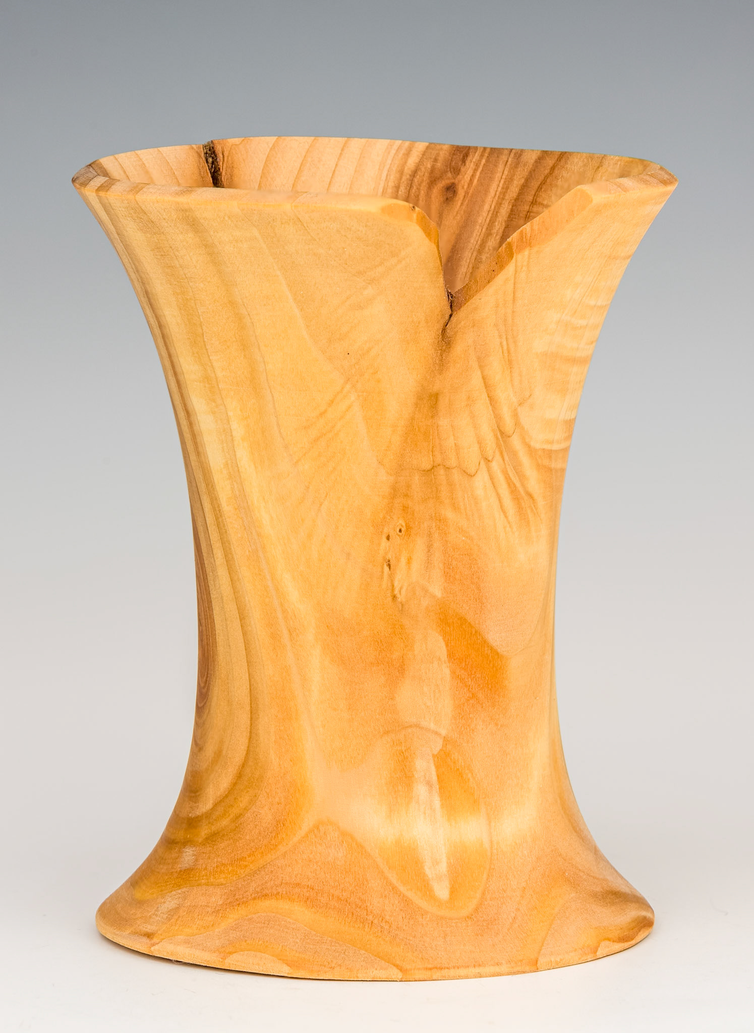 Cryptomeria Japonica Vessel - Diameter: 3 1/2 inches, Height: 4 5/8 inches   (F37)