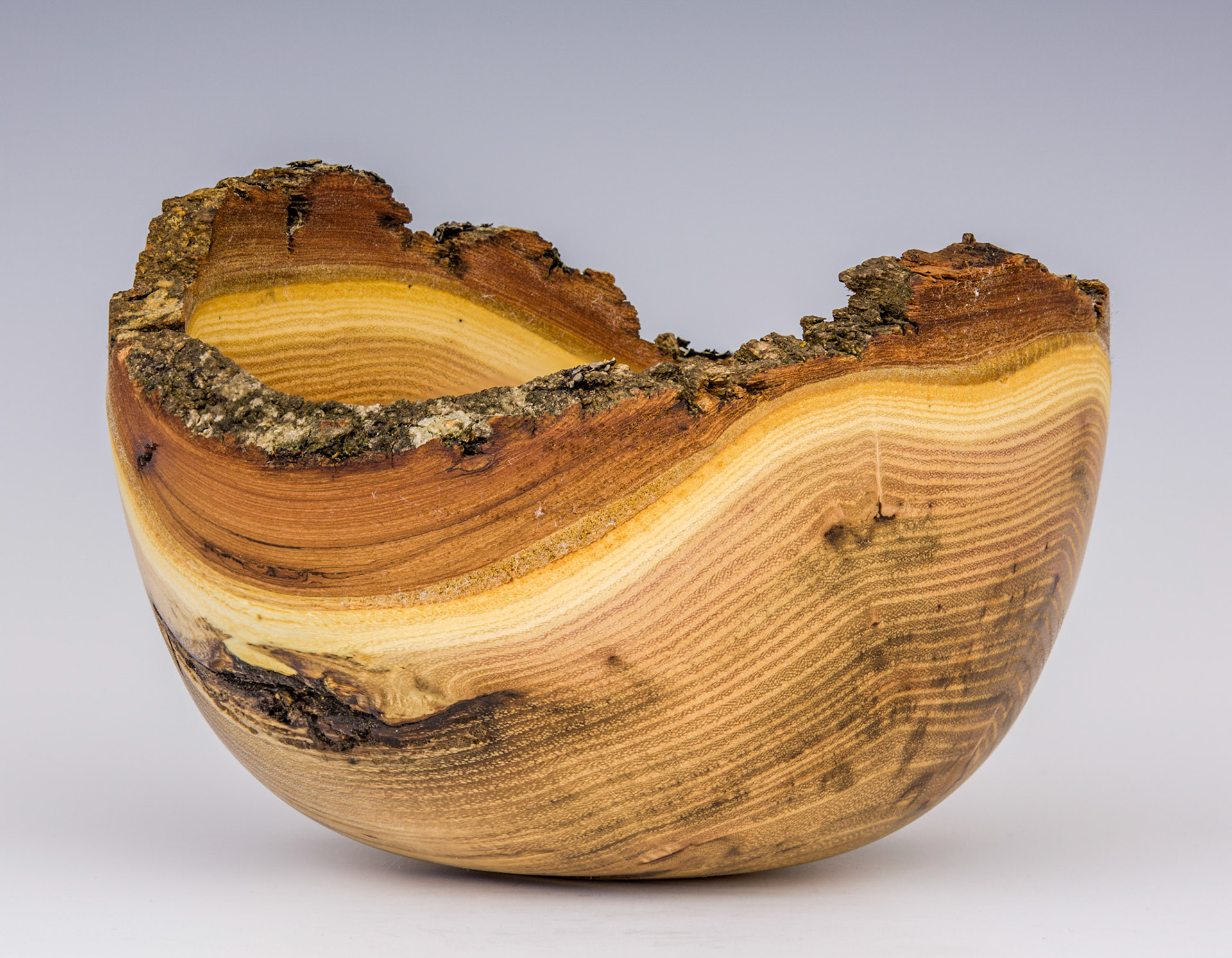 Black Locust Natural Edge Bowl - Diameter: 5 3/4 inches, Height: 4 inches (B93)