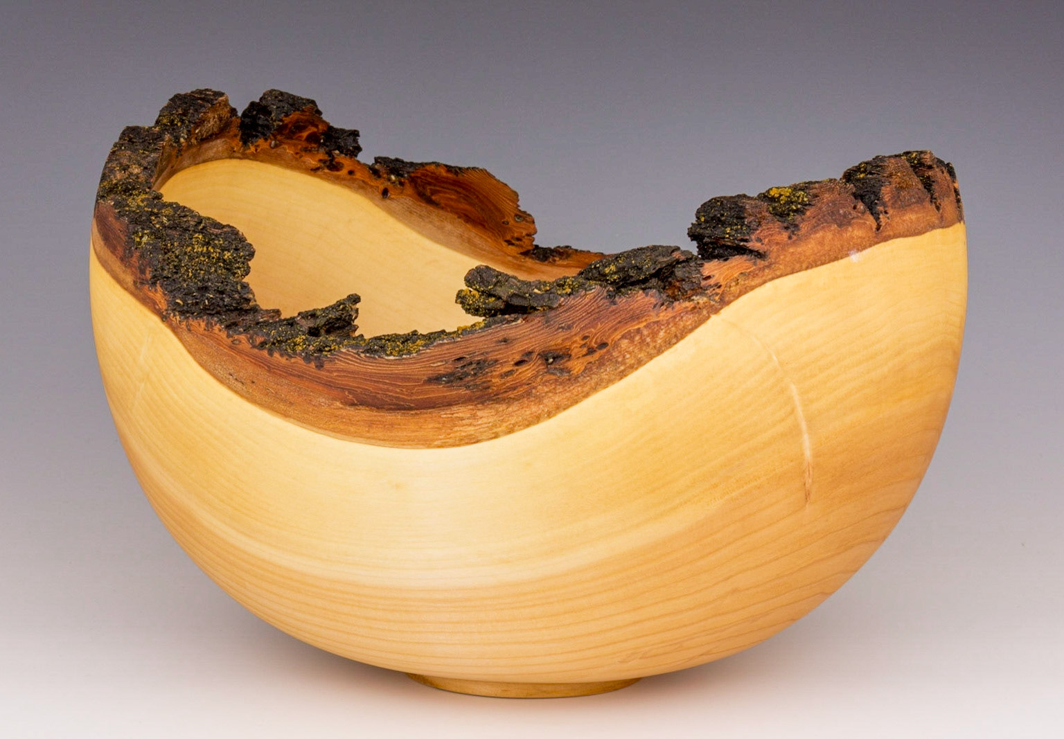 Willow Natural Edge Bowl - Diameter: 11 1/2  inches, Height: 8 inches (C53)