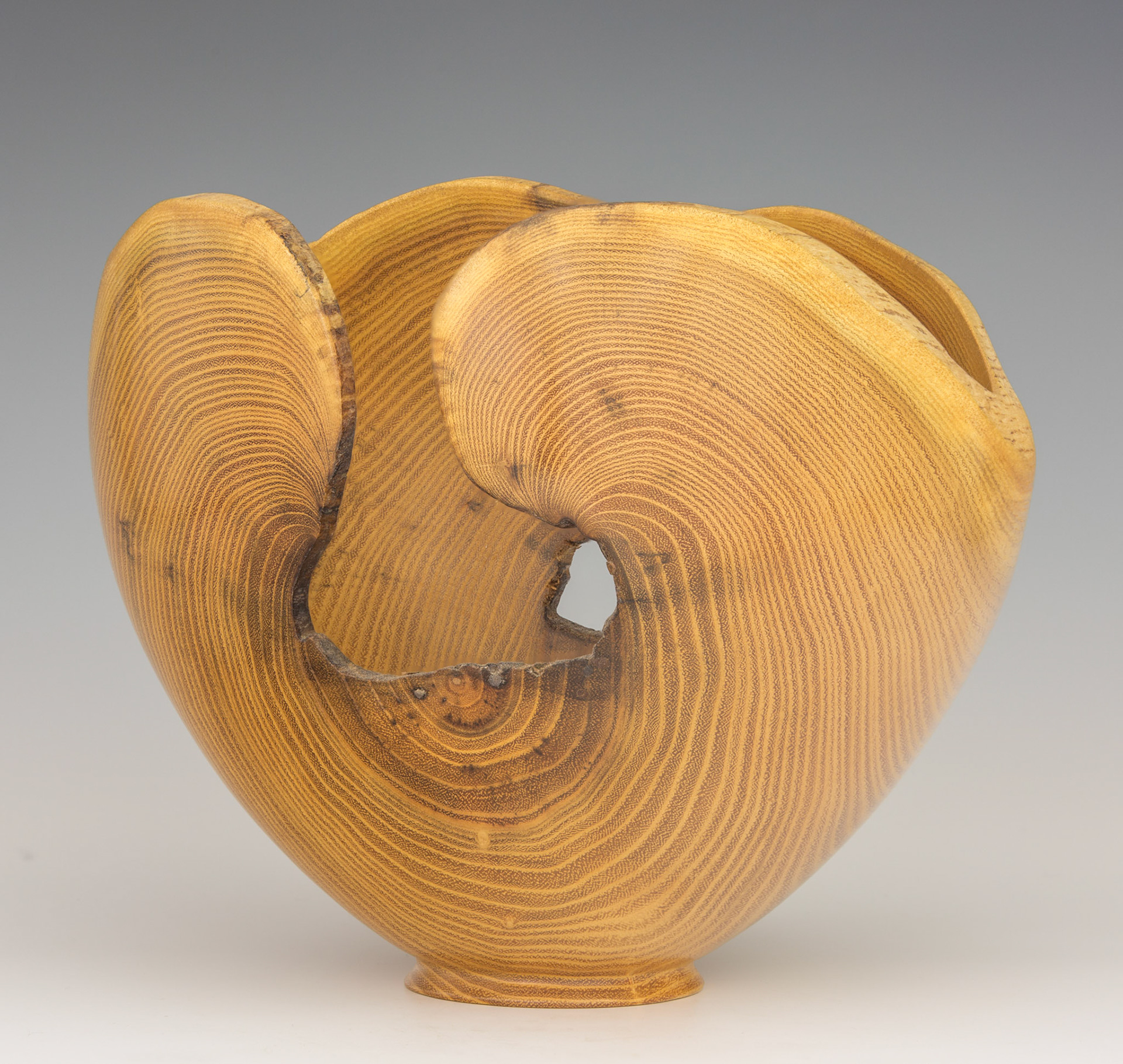 Black Locust Natural Edge Bowl - Diameter: 7 5/8 inches, Height: 6 1/4 inches (B41)