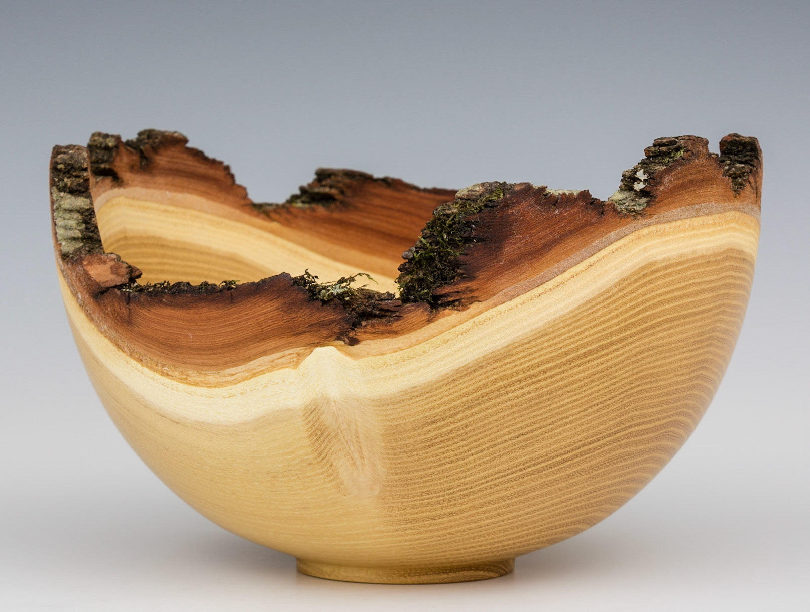 Black Locust Natural Edge Bowl - Diameter: 7 7/8 inches, Height: 4 7/8 inches (K4)
