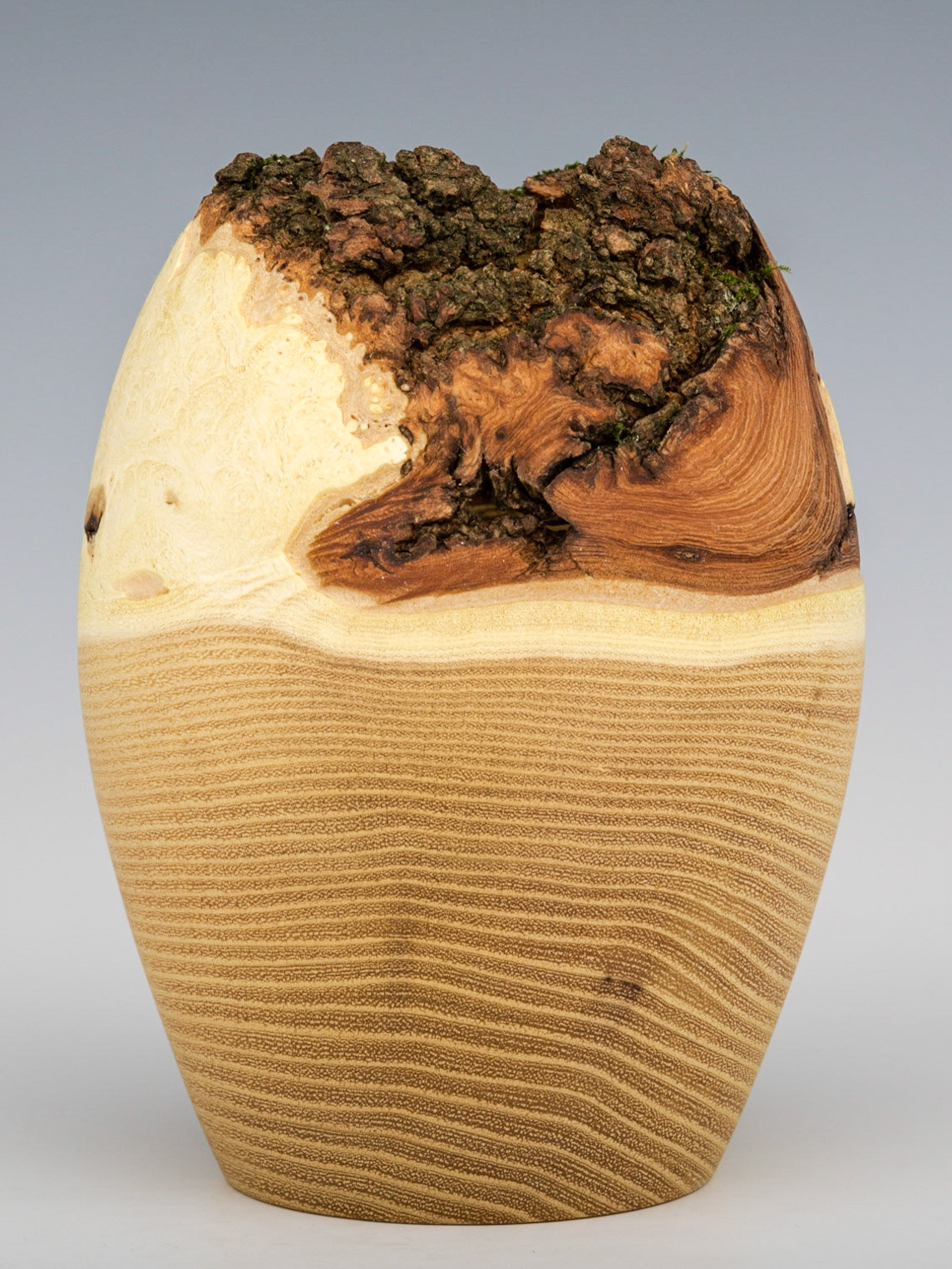 Black Locust Natural Edge Hollow Form - Diameter: 4 5/8 inches, Height: 6 1/8 inches (K43)