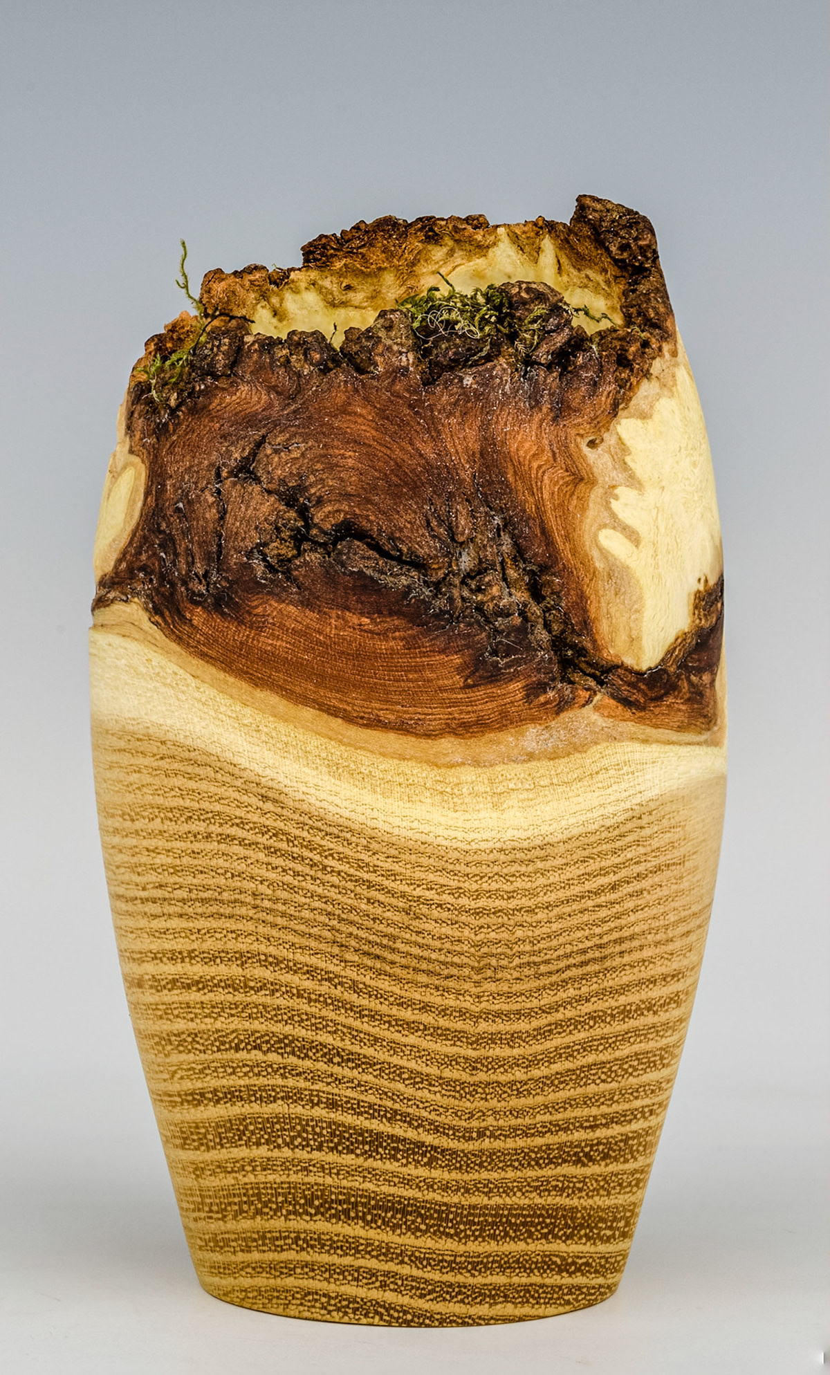 Black Locust Natural Edge Hollow Form - Diameter: 2 3/16 inches, Height: 3 5/8 inches (K48)