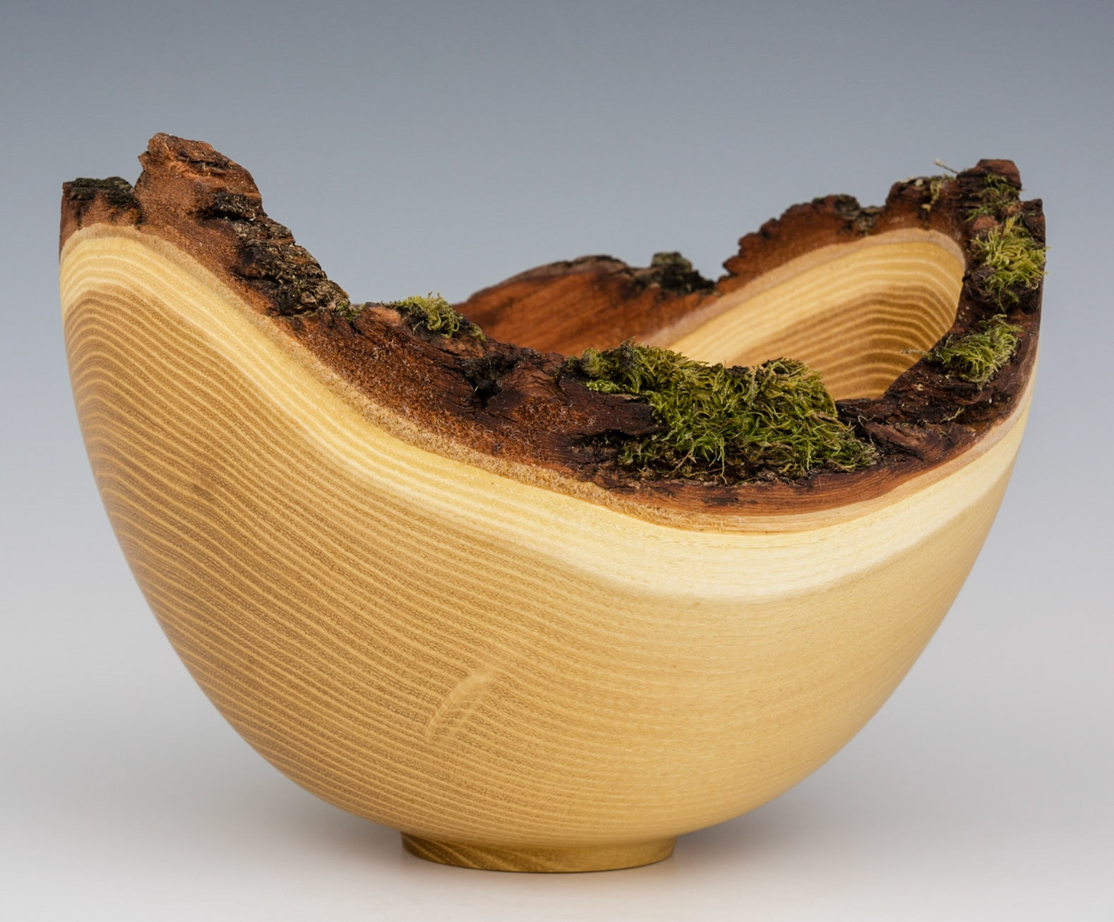 Black Locust Natural Edge Bowl - Diameter: 8 1/4 inches, Height: 6 inches (K3)