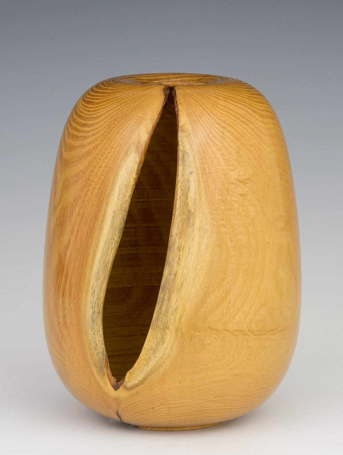 Black Locust Hollow Form - Diameter: 4 3/3 inches, Height: 6 1/4 inches (B51)
