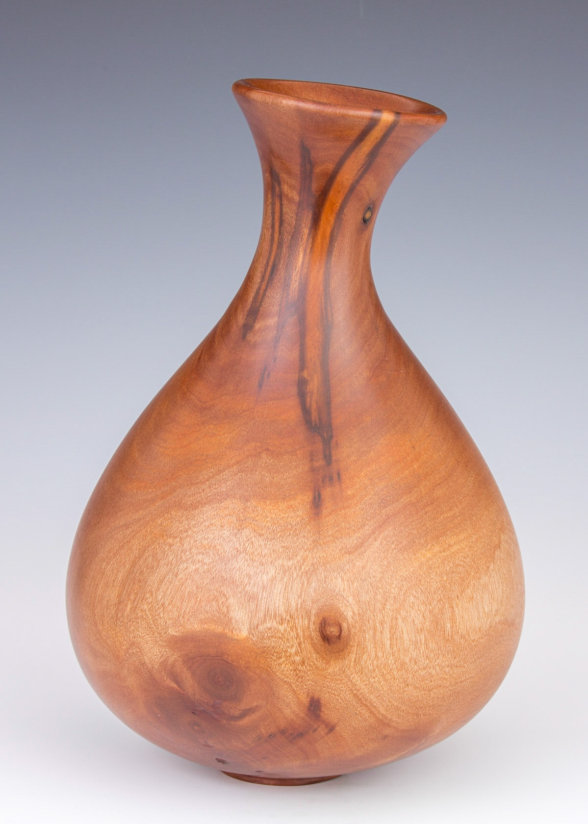 Plum Hollow Form - Diameter: 6 5/8 inches, Height: 10 inches (B38)