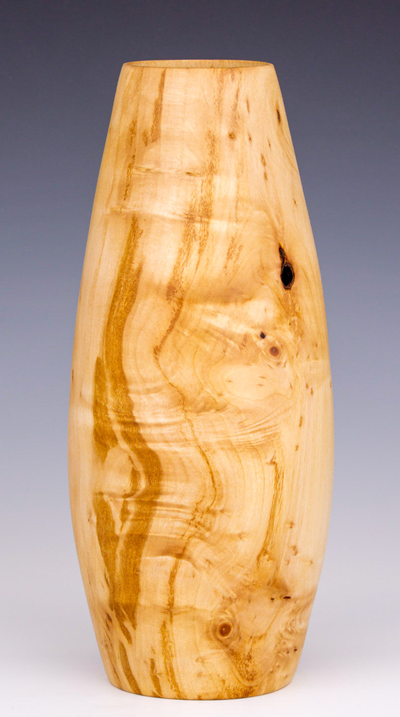 Pussy Willow Hollow Form - Diameter: 4 1/8 inches, Height: 9 1/2 inches (B27)