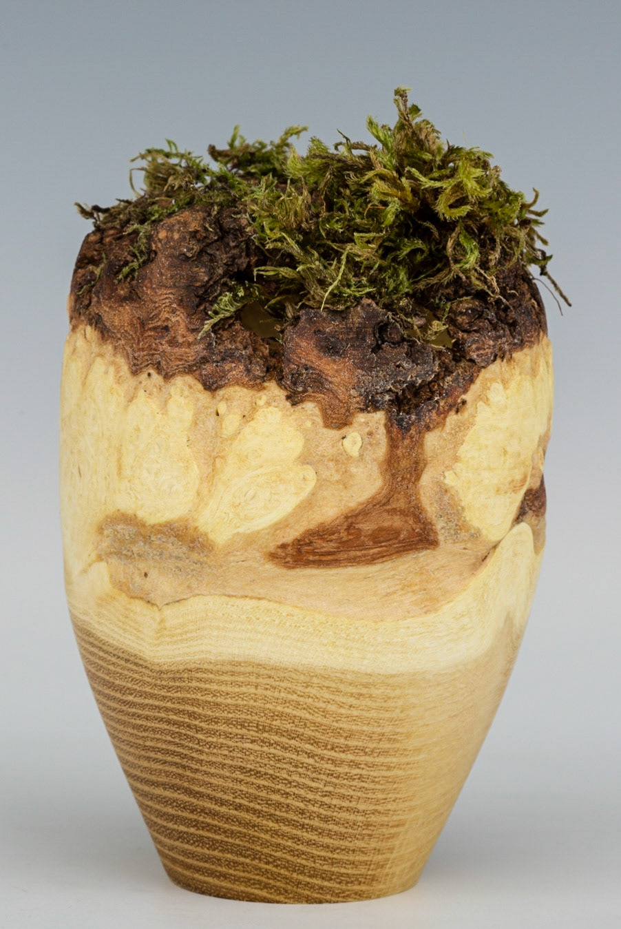 Black Locust Natural Edge Hollow Form - Diameter: 2 1/2 inches, Height: 3 1/2 inches (K49)