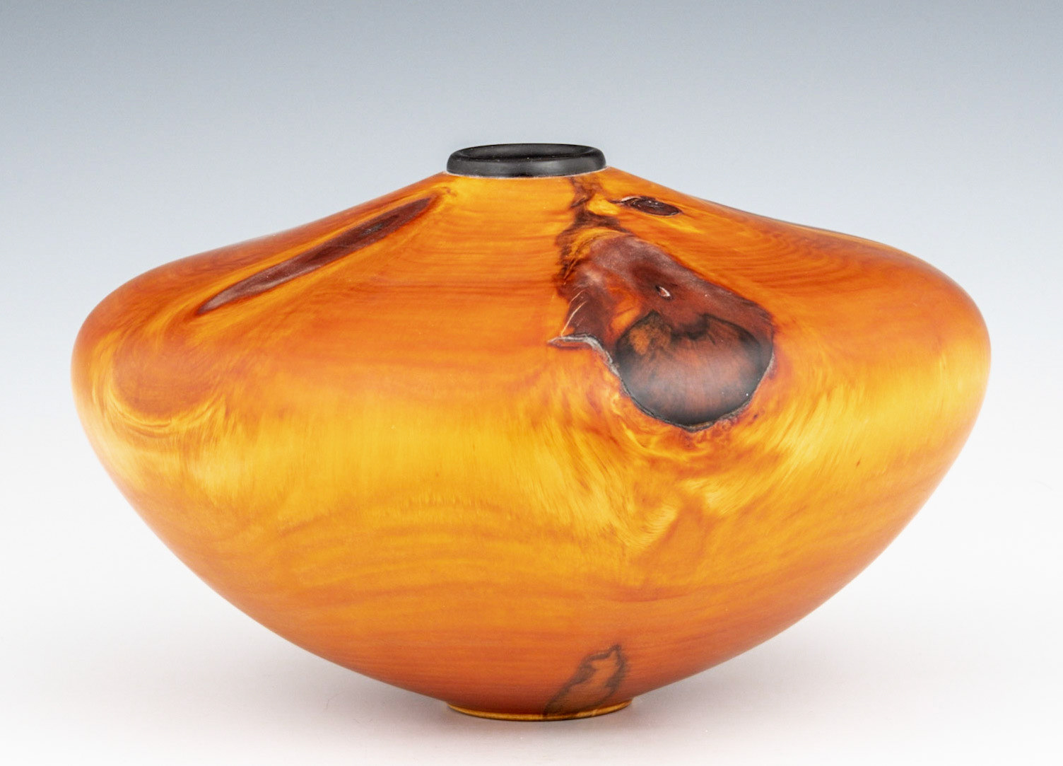 Norfolk Island Pine Hollow Form - Diameter: 10 Inches, Height: 6 1/8 inches (D57)