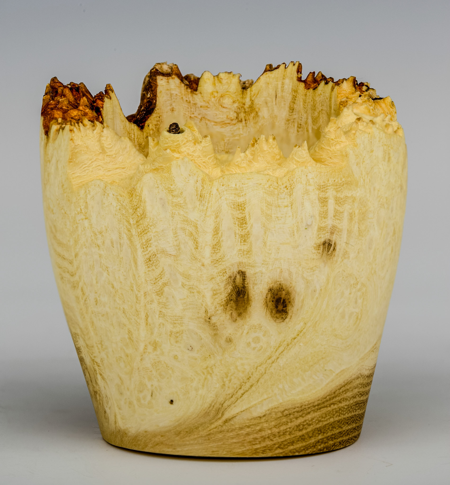 Black Locust Natural Edge Vesserl - Diameter: 2 1/16 inches, Height: 1 7/8 inches (K44)