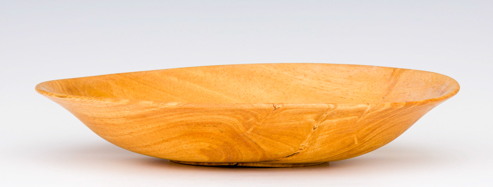 Ficus Bowl - Diameter: 7 5/8 inches, Height: 1 3/8 inches (C82)
