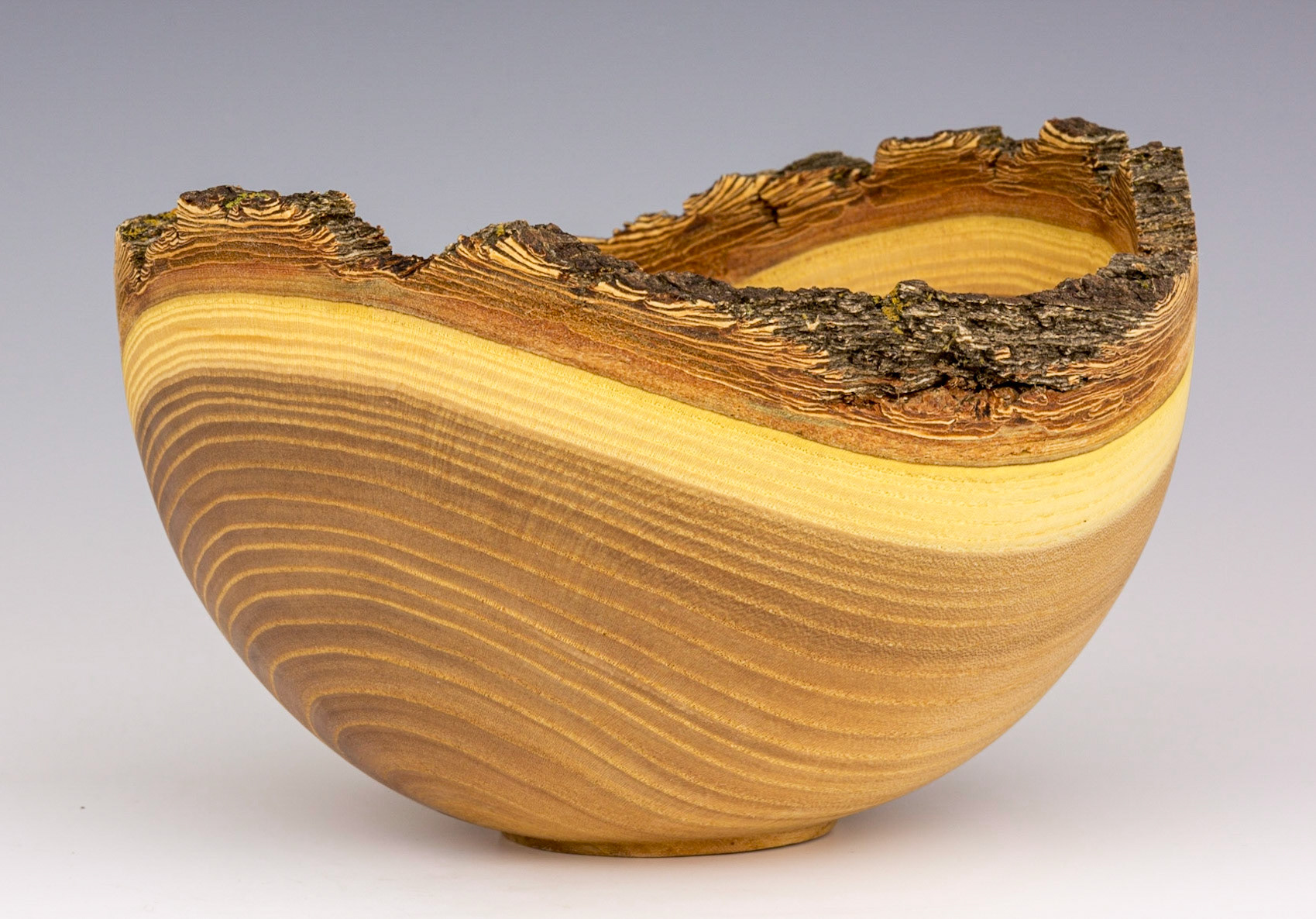 Elm Natural Edge Bowl - Diameter: 7 1/2 inches, Height: 4 3/4 inches (C6)