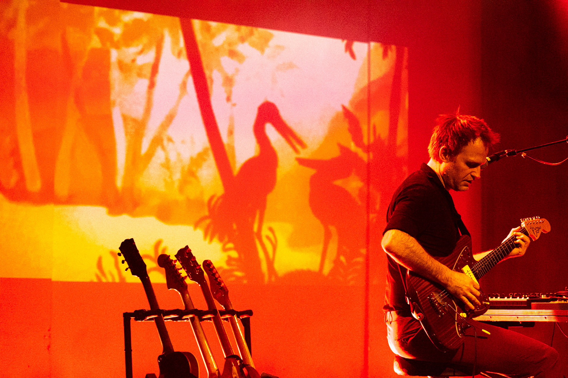 The Antler King @De Casino