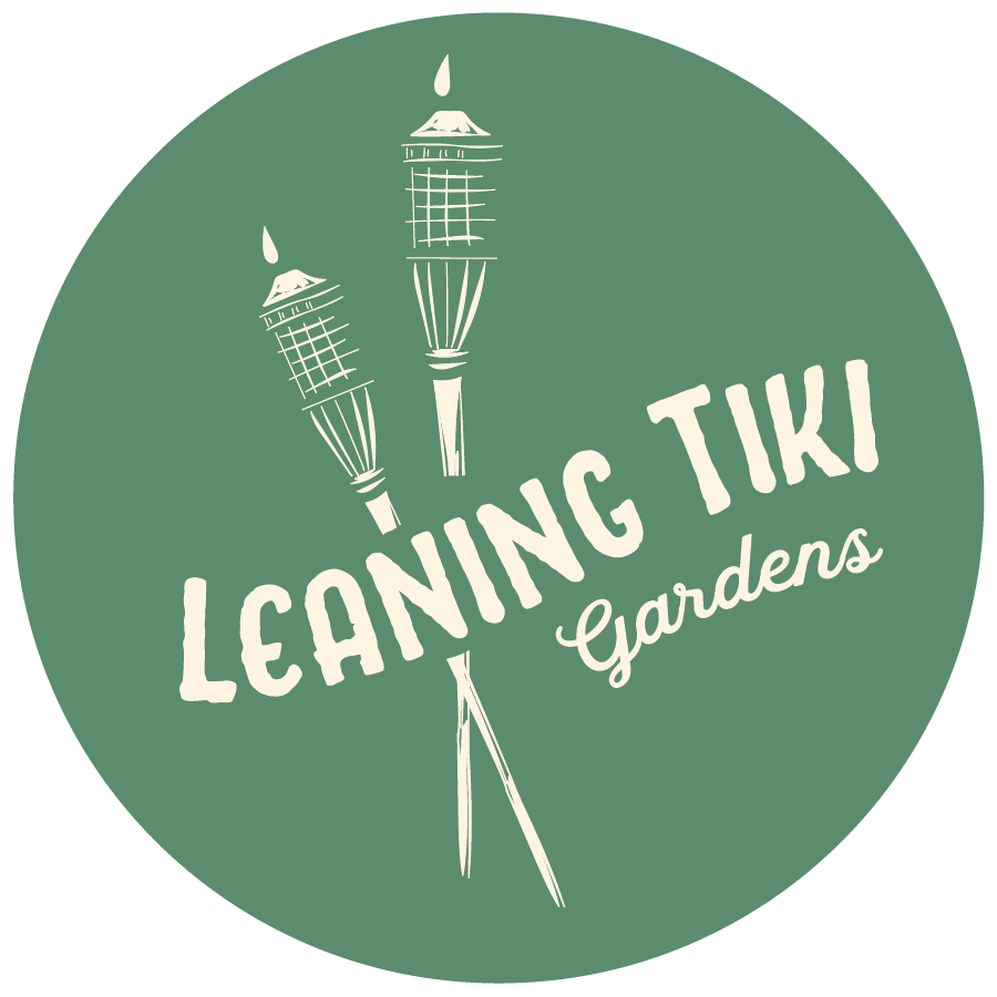 Final Logo (green background option)
