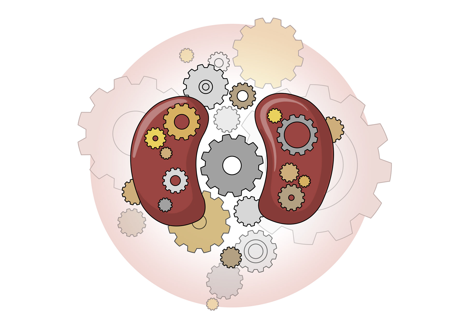 Dialysis cannot replicate all the complex functions of the kidneys