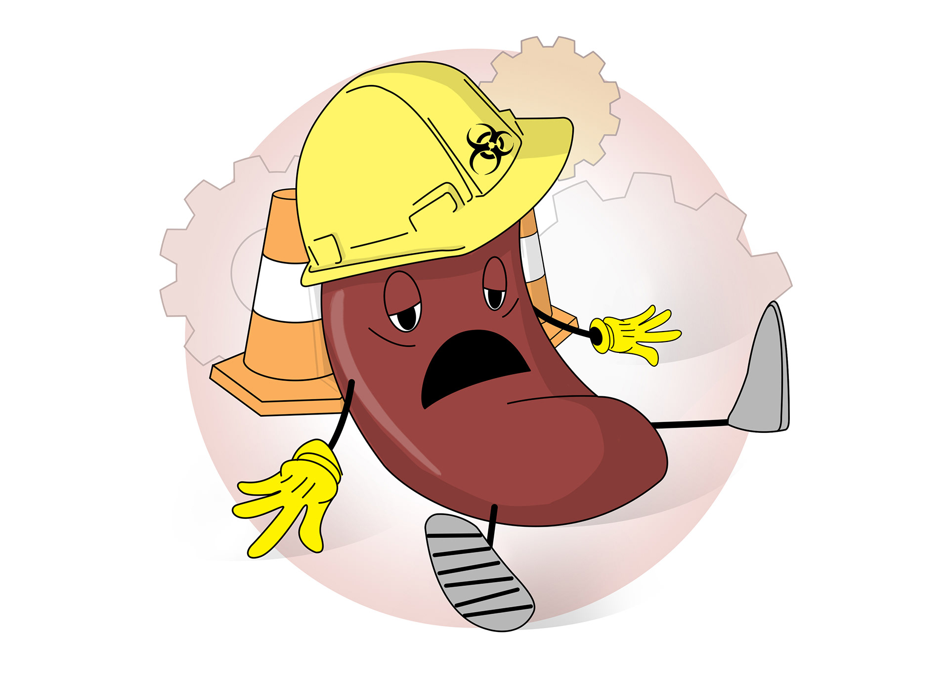 Sometimes kidneys don't work as they should - kidney disease. If they stop working it is called kidney failure