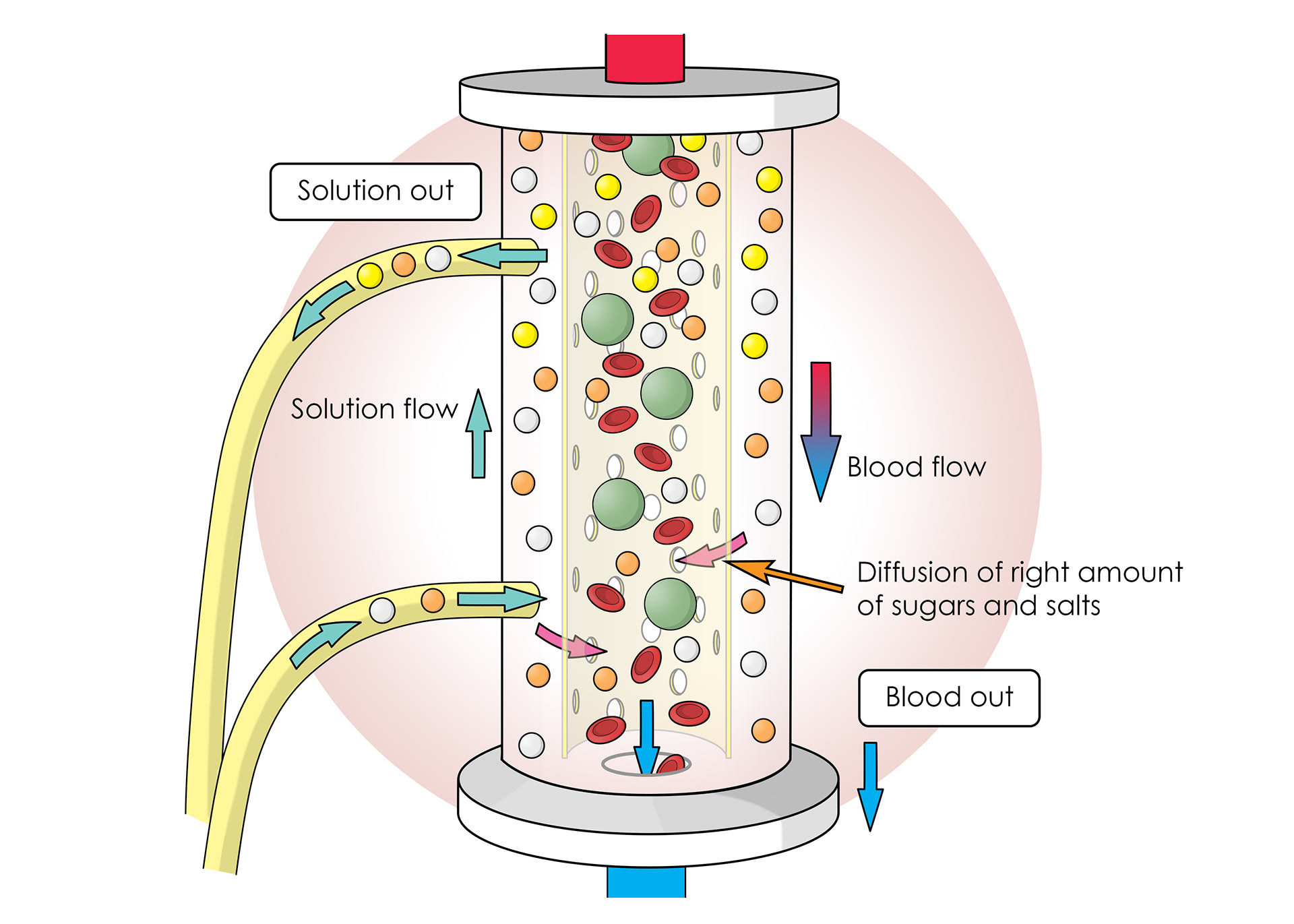 A solution provides the correct amounts of sugars and salts to move back into the blood via diffusion