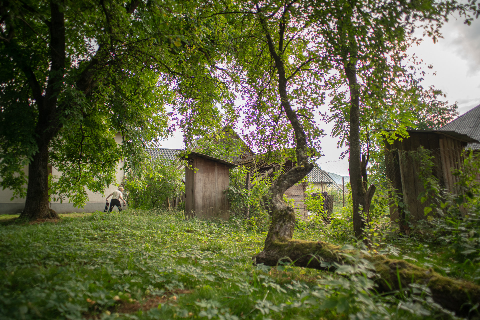 Săliștea de Sus, 2022