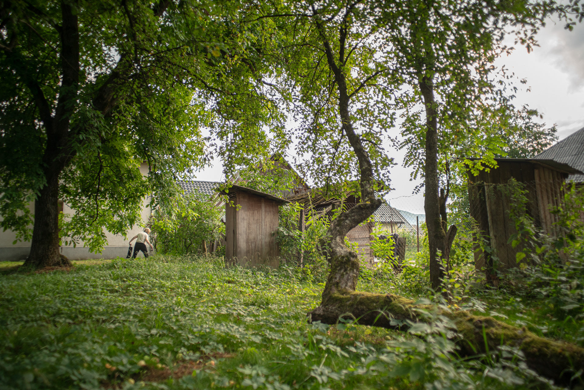 Săliștea de Sus, 2022